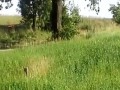 Kubica tradycyjnie