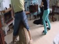 Atak lwicy... w mieszkaniu