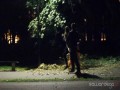 Potwór z liści