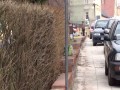 Straż Biznesowo-Miejska & centymetr krawiecki. Przemków