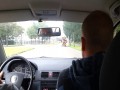 Klepanie w tyłeczek poziom expert