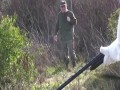 Rabbit Vs Hunter (Remi GAILLARD)