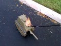 Tank Dog