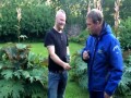 Alkohol i trampolina nie idą w parze