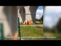 Nieudana próba samobójstwa w Bolesławcu