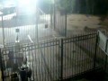 Jak otworzyć bramę po pijaku?