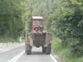 Felek pogromca szos