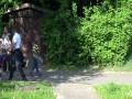 Gorilla in Zoo