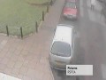 Koleś znęca się nad kotem