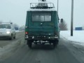 Cztery ślady żuka
