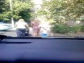 Krowy na drodze
