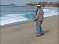 Surfer