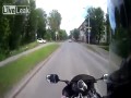 Pies vs motocyklista