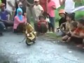 Małpka na motorynce