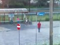 Damscy bokserzy atakują