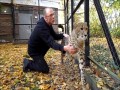 Maciej wśród Dzikich - Oswojona Sroka