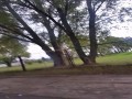 kaban84 vs dziewczyny z Żuromina