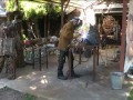 Twój ruch chce testować leki na emerytach