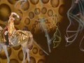 Dead Can Dance - The Carnival Is Over