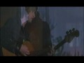 Divine Comedy - Love What You Do
