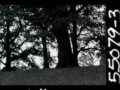 Feist - Inside And Out