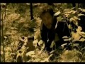Kayah - Kochankowie roku tygrysa (wersja chińska)