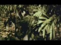 Alliance Ethnik - No Limites