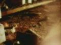 Calexico - Cruel