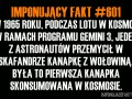 Fakt