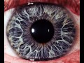 Eyes