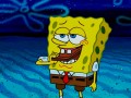 Sponge