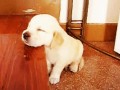 Awwww