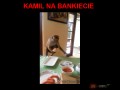 Kamil