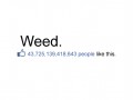 Weed