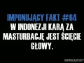 Fakt