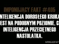 Kruk vs nastolatek
