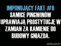 Imponujacy fakt