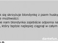 Dowcip