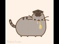 Cat 1