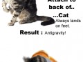 Antygrawitacja