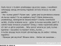 Wiosna i koty