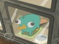 Pepe