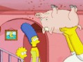 Spider pig