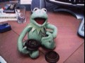 Kermit grass