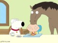 Stewie