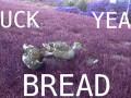 Fuck yeah