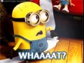 Whaaat 