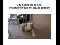 Spadam