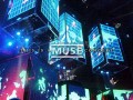 Koncert muse