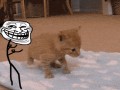 A to troll